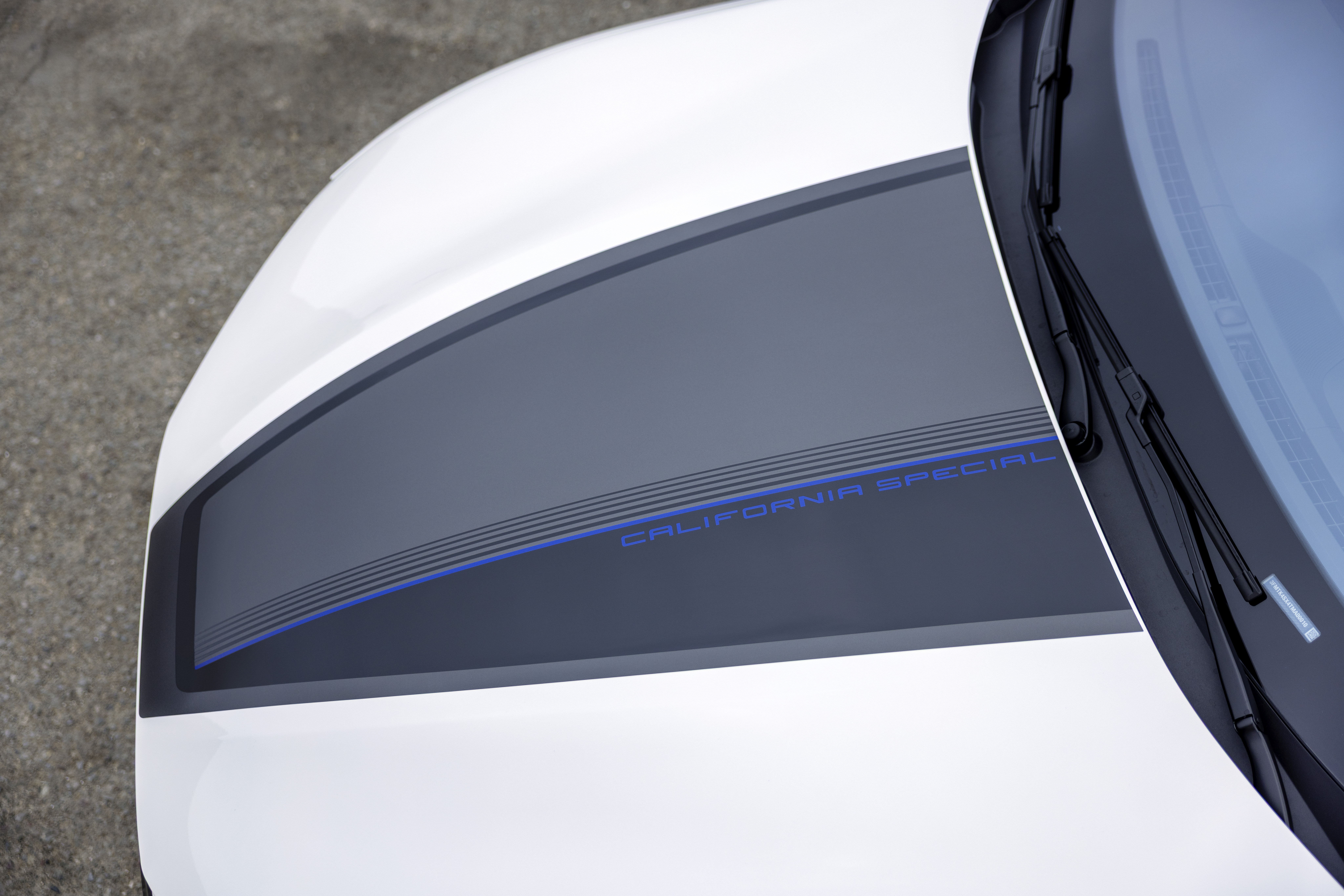 Detail shot of the hood of a white Mustang Mach-E with black down the middle and a blue stripe down the middle of that.
